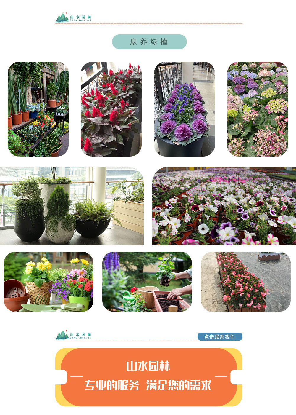 1康養(yǎng)綠植_02.jpg