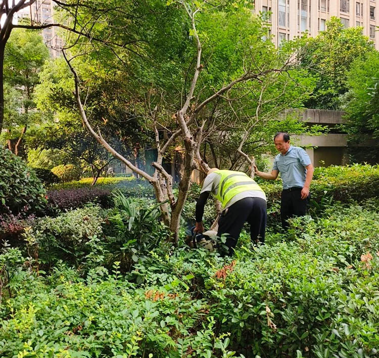 1732848615478675.jpg 12.jpg