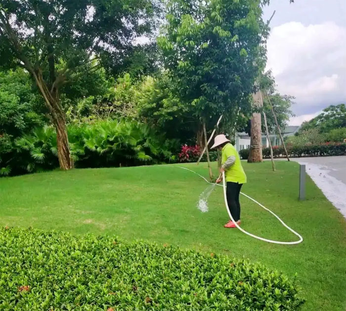 1732870648459009.jpg 1 (5).jpg