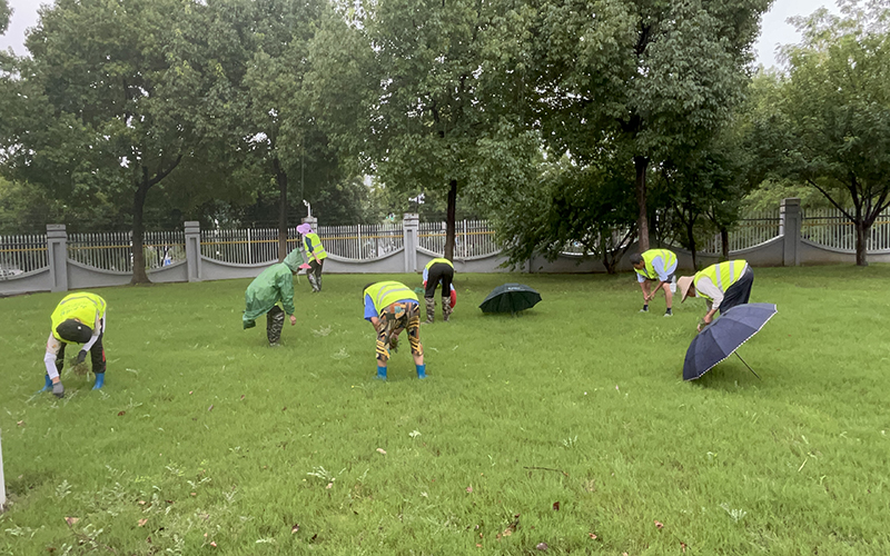 1733295724874219.jpg 051.jpg