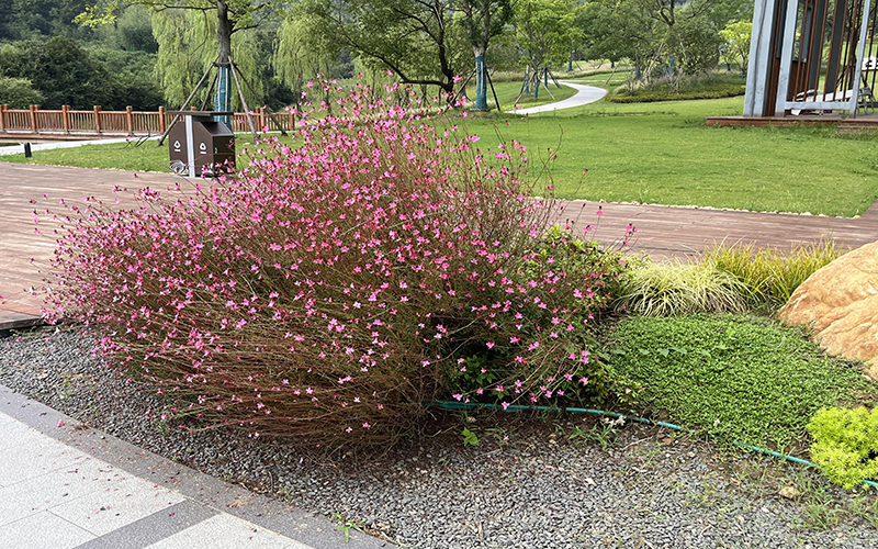 園林綠化工程 園林綠化工程
