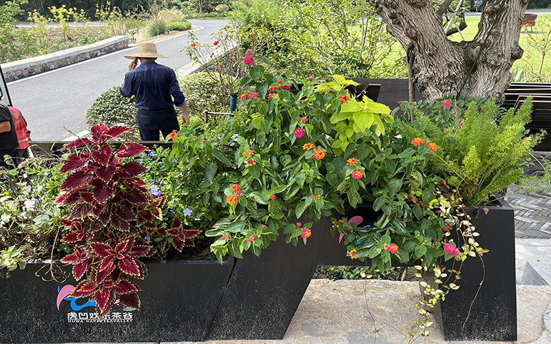 怎樣選擇符合標(biāo)準(zhǔn)的園林綠化工程公司 怎樣選擇符合標(biāo)準(zhǔn)的園林綠化工程公司