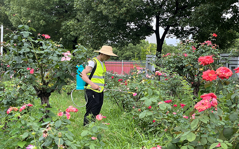 園林綠化工程在城市建設中具有何重要性 園林綠化工程在城市建設中具有何重要性