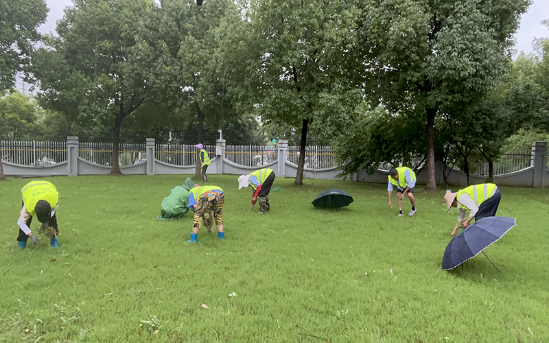 園林綠化工程的現(xiàn)狀與發(fā)展趨勢 園林綠化工程的現(xiàn)狀與發(fā)展趨勢