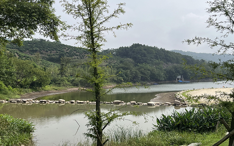 怎樣進行有效的綠化養(yǎng)護管理