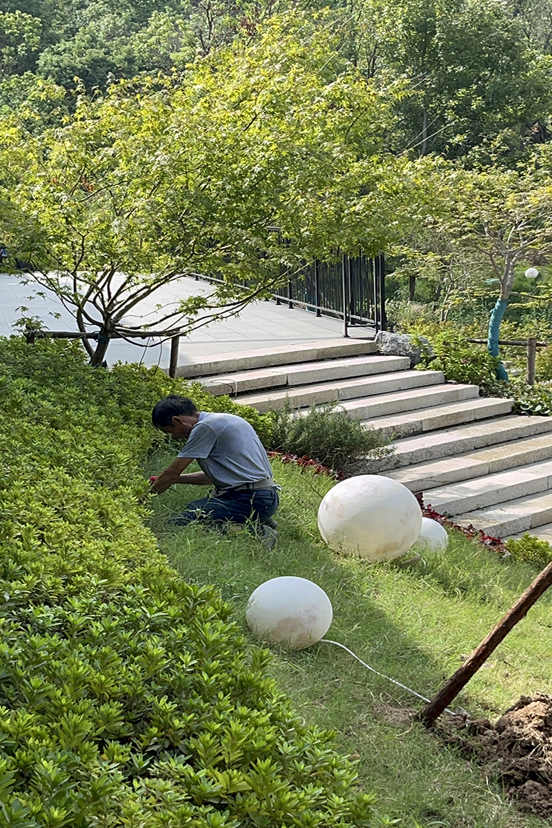 綠化養(yǎng)護(hù)公司的服務(wù)范圍有哪些 綠化養(yǎng)護(hù)公司的服務(wù)范圍有哪些