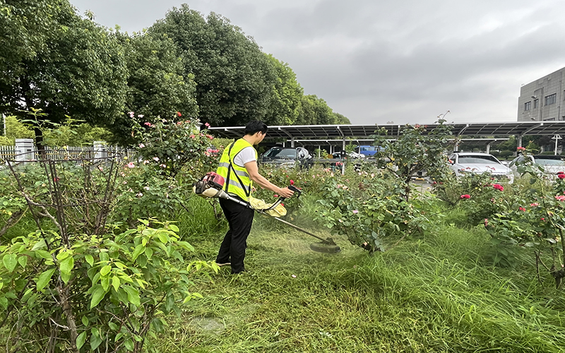 智慧花園設(shè)計需要考慮哪些使用者需求 智慧花園設(shè)計需要考慮哪些使用者需求