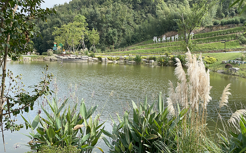 如何讓公園綠化養(yǎng)護(hù)更環(huán)保更節(jié)能 如何讓公園綠化養(yǎng)護(hù)更環(huán)保更節(jié)能