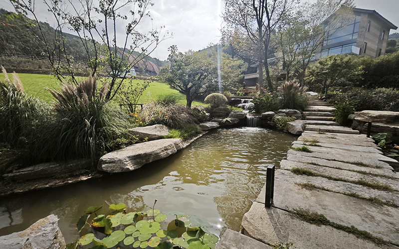 1740538832420383.jpg 220.jpg